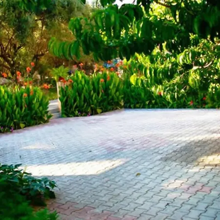 Marketos * Svoronata