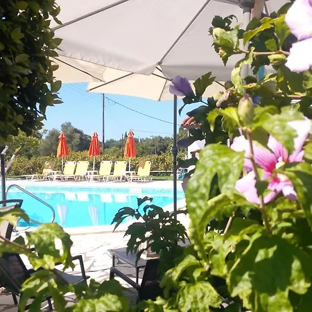 Marketos * Svoronata