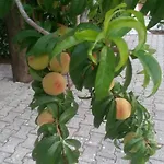 아파트 Marketos