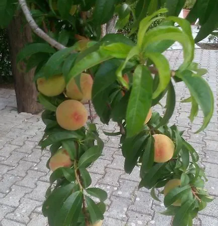 Appartamento Marketos